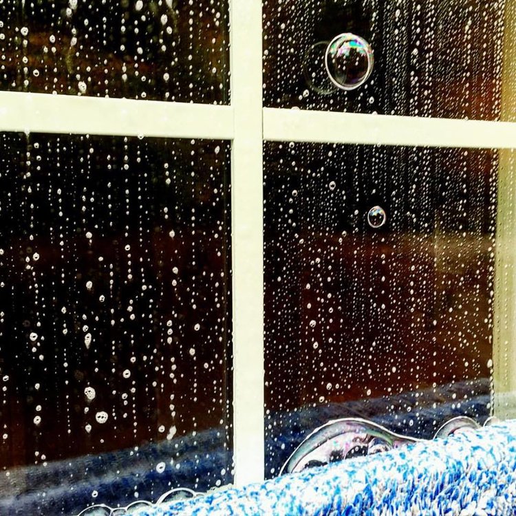 Grand Rapids window cleaning company