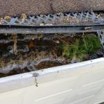 Residential gutter cleaning